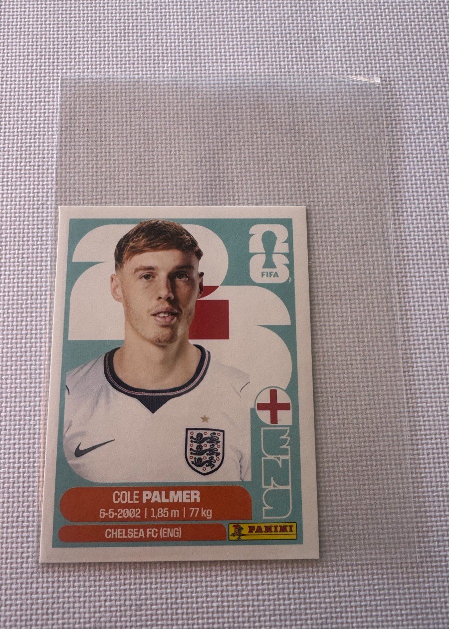 C. Palmer (ENG 12) - USA Version