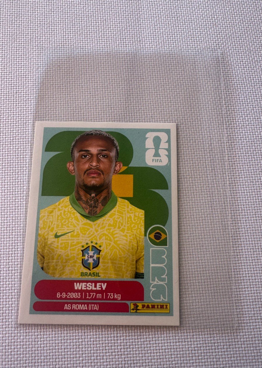 Wesley (BRA 8) - USA Version