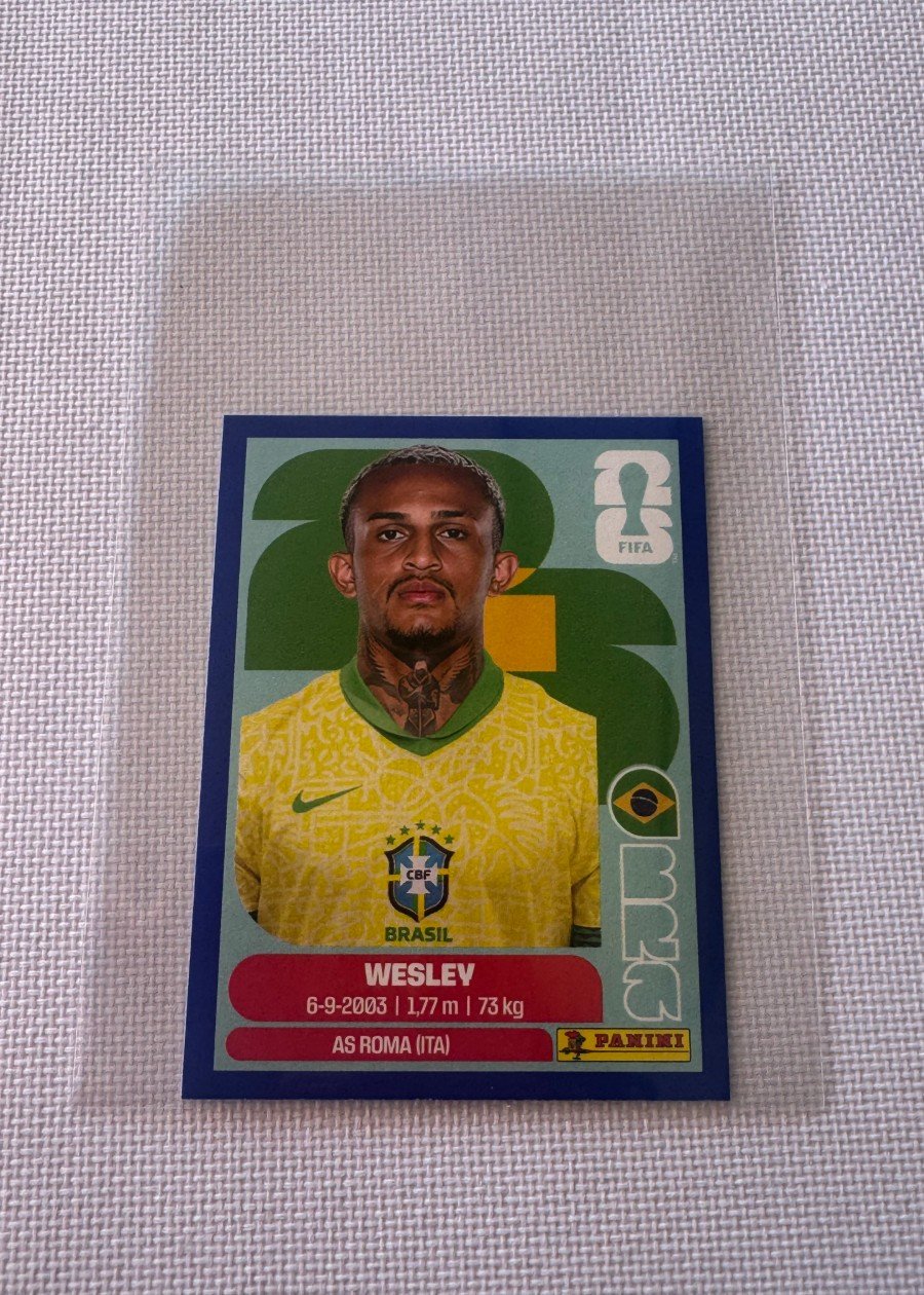 Wesley (BRA 8) - USA Version - Blue Sticker