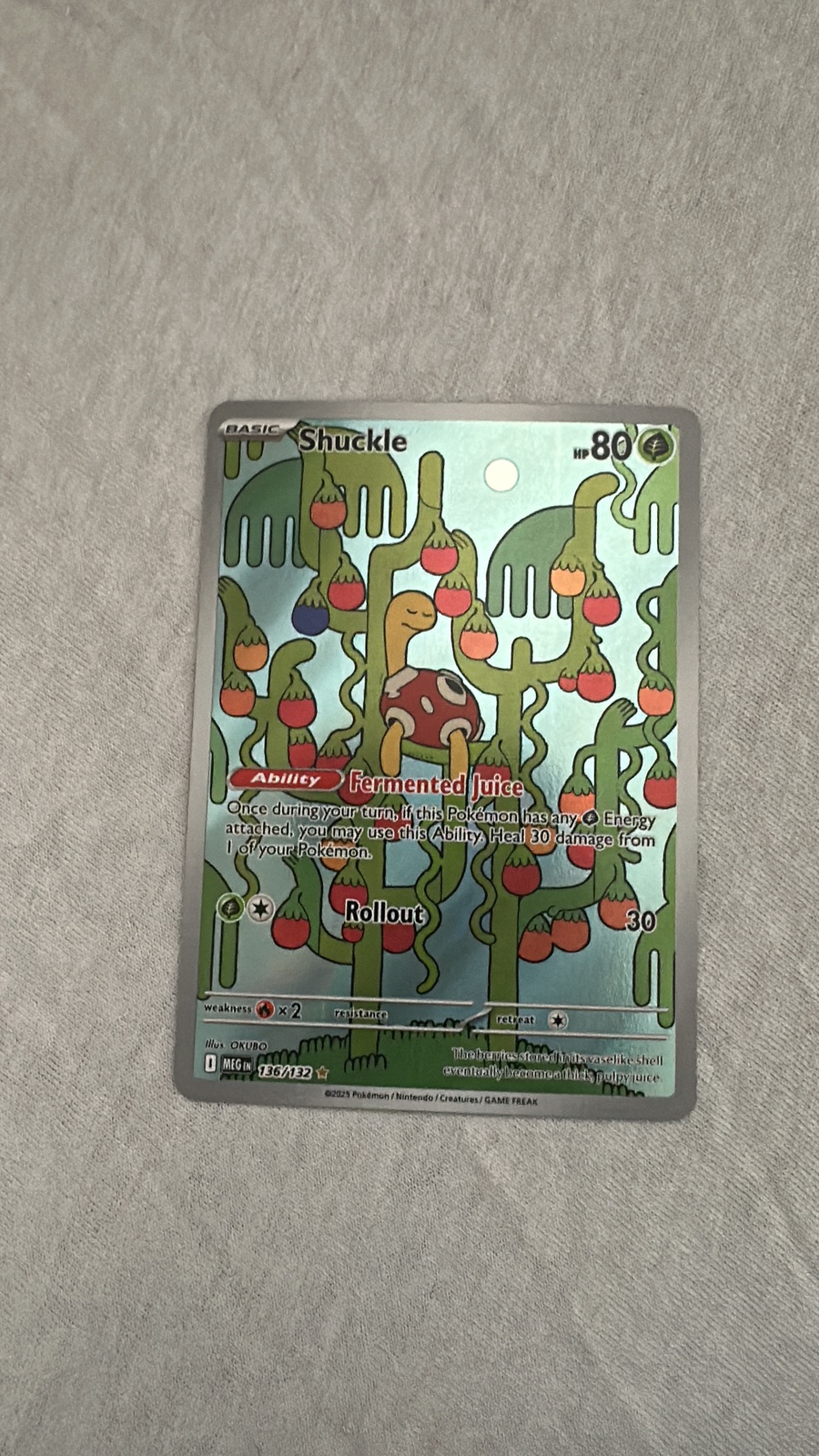 Shuckle 136