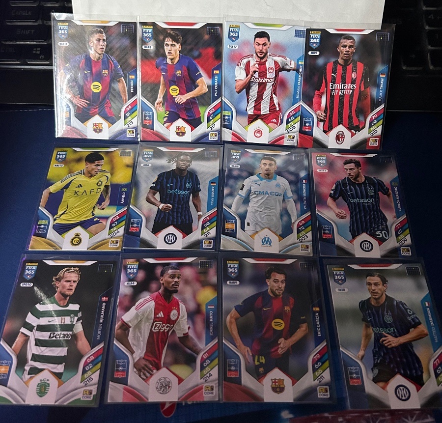 fifa 365 12 card